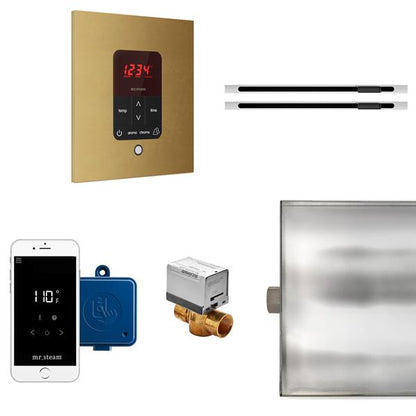 Mr. Steam - Butler Max Linear Steam Shower Control Package With Itempoplus Control And Linear Steamhead Square