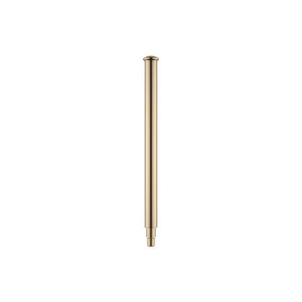 Dornbracht - Brush Handle D25 X 300 Mm