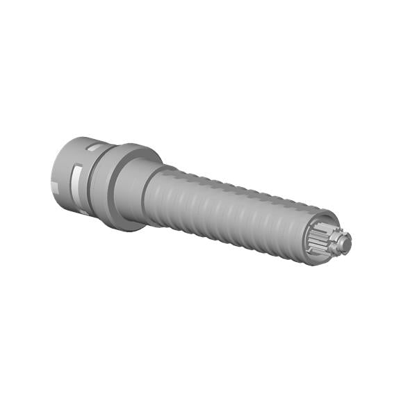 Dornbracht - Conversion