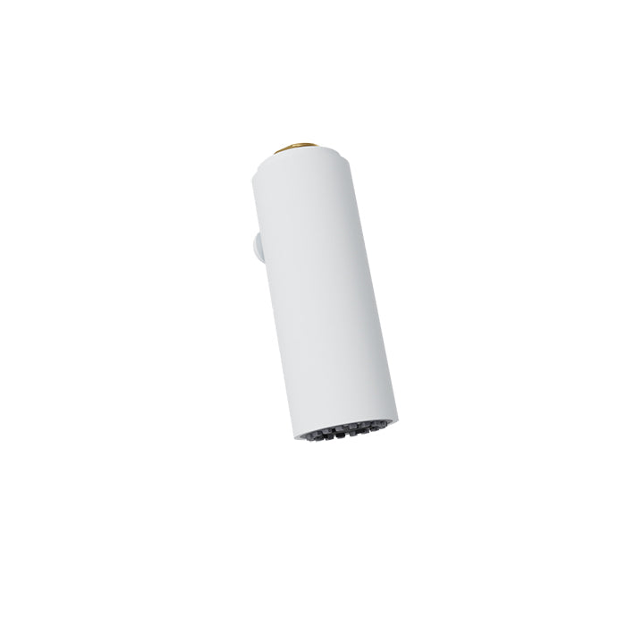Baril - Brass 2-function pull-down spray head