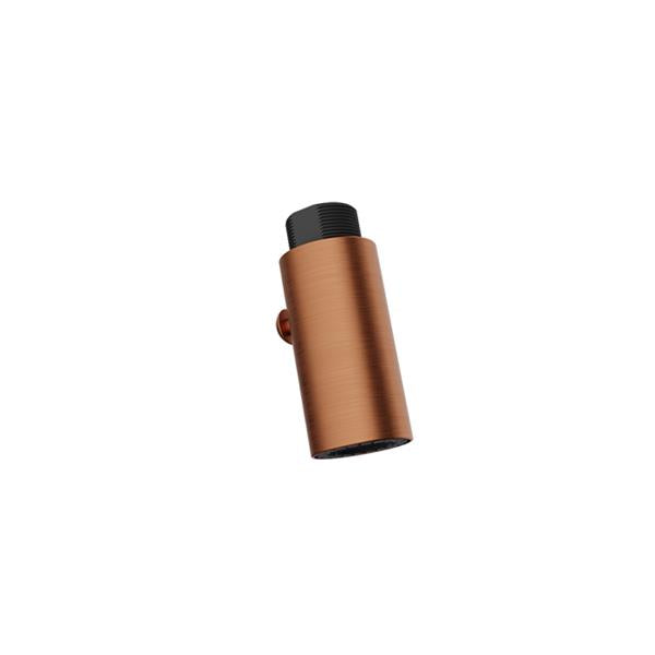 Baril - Brass 2-spray hand shower