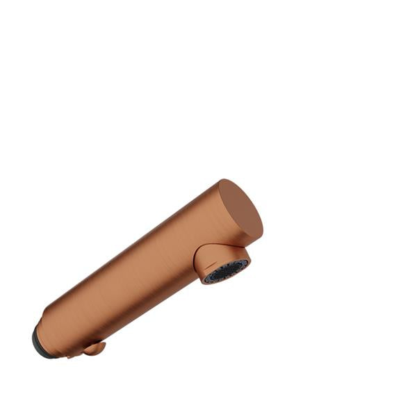 Baril - Brass 2-spray hand shower