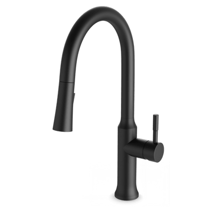 Artos - F100139 Trova Kitchen Faucet with Pull Down Spray