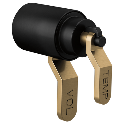 Brizo - Litze TempAssure Thermostatic Trim Handle Kit - Industrial Lever