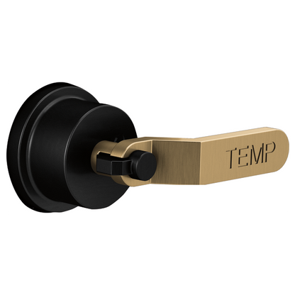 Brizo - Litze Sensori Thermostatic Valve Trim Handle Kit - Industrial Lever