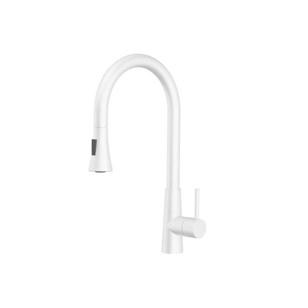 Flusso - Zest - Dual Spray Stainless Steel Kitchen Faucet With Pull Out