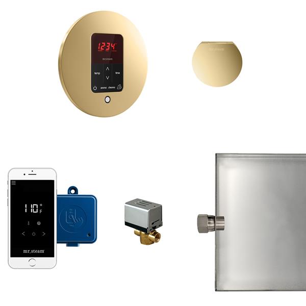 Mr. Steam - Butler Steam Shower Control Package With Itempoplus Control And Aroma Designer Steamhead Round