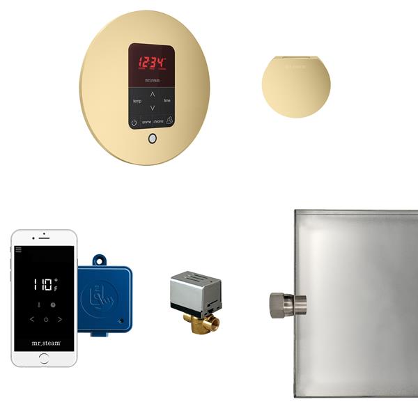 Mr. Steam - Butler Steam Shower Control Package With Itempoplus Control And Aroma Designer Steamhead Round
