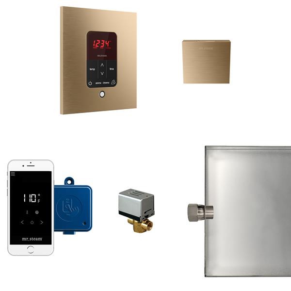 Mr. Steam - Butler Steam Shower Control Package With Itempoplus Control And Aroma Designer Steamhead Square