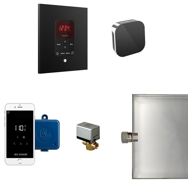 Mr. Steam - Butler Steam Shower Control Package With Itempoplus Control And Aroma Designer Steamhead Square
