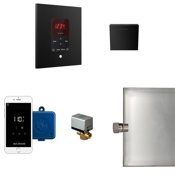 Mr. Steam - Butler Steam Shower Control Package With Itempoplus Control And Aroma Designer Steamhead Square