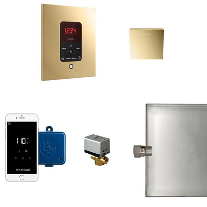 Mr. Steam - Butler Steam Shower Control Package With Itempoplus Control And Aroma Designer Steamhead Square