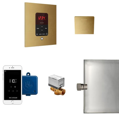 Mr. Steam - Butler Steam Shower Control Package With Itempoplus Control And Aroma Designer Steamhead Square