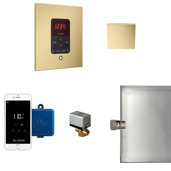 Mr. Steam - Butler Steam Shower Control Package With Itempoplus Control And Aroma Designer Steamhead Square
