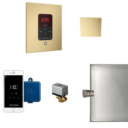 Mr. Steam - Butler Steam Shower Control Package With Itempoplus Control And Aroma Designer Steamhead Square