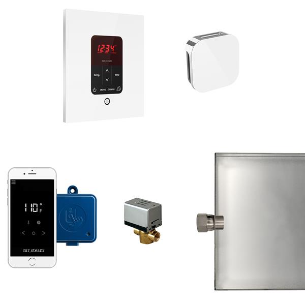 Mr. Steam - Butler Steam Shower Control Package With Itempoplus Control And Aroma Designer Steamhead Square