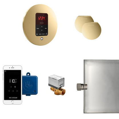 Mr. Steam - Butler Max Steam Shower Control Package With Itempoplus Control And Aroma Designer Steamhead Round