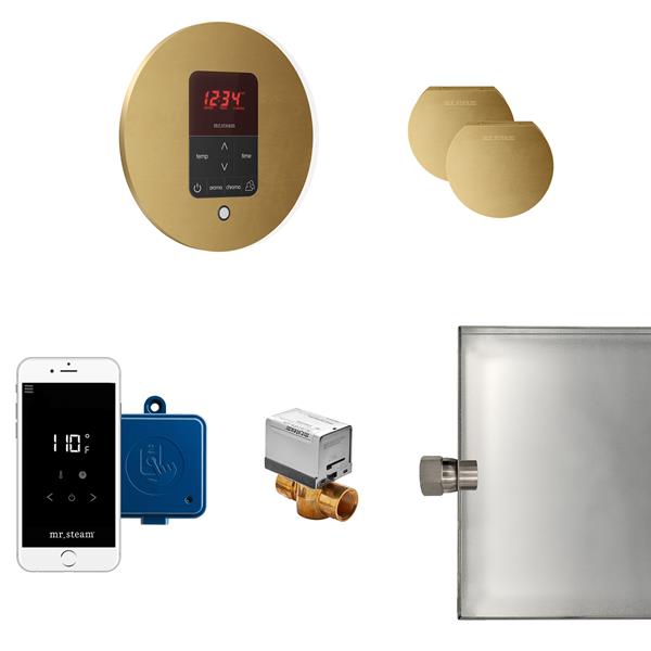 Mr. Steam - Butler Max Steam Shower Control Package With Itempoplus Control And Aroma Designer Steamhead Round