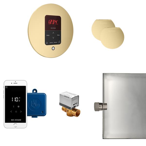 Mr. Steam - Butler Max Steam Shower Control Package With Itempoplus Control And Aroma Designer Steamhead Round