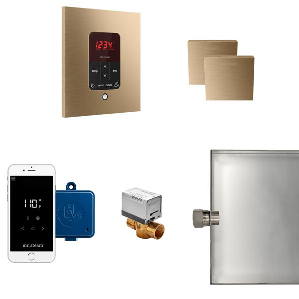Mr. Steam - Butler Max Steam Shower Control Package With Itempoplus Control And Aroma Designer Steamhead Square