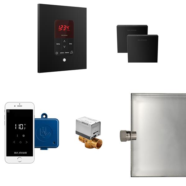 Mr. Steam - Butler Max Steam Shower Control Package With Itempoplus Control And Aroma Designer Steamhead Square