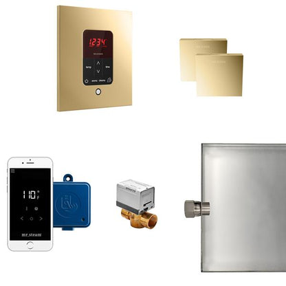 Mr. Steam - Butler Max Steam Shower Control Package With Itempoplus Control And Aroma Designer Steamhead Square