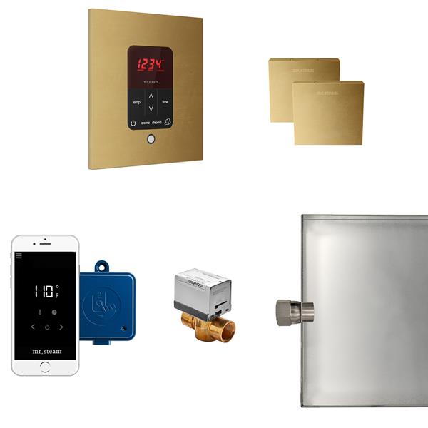 Mr. Steam - Butler Max Steam Shower Control Package With Itempoplus Control And Aroma Designer Steamhead Square