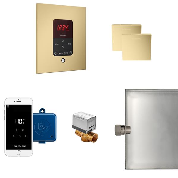Mr. Steam - Butler Max Steam Shower Control Package With Itempoplus Control And Aroma Designer Steamhead Square