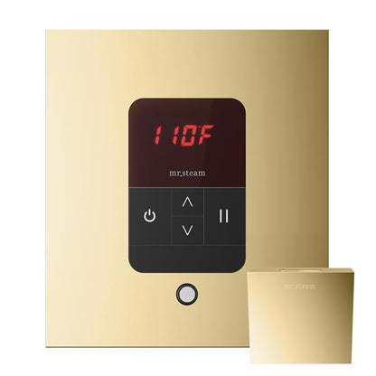 Mr. Steam - Itempo Steam Shower Control And Aroma Designer Steamhead Square