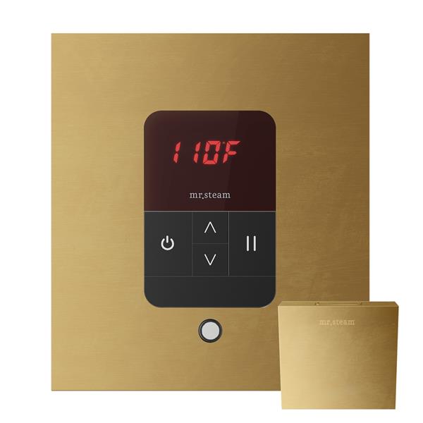 Mr. Steam - Itempo Steam Shower Control And Aroma Designer Steamhead Square
