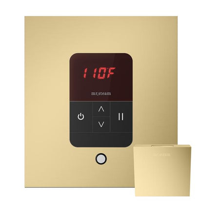 Mr. Steam - Itempo Steam Shower Control And Aroma Designer Steamhead Square