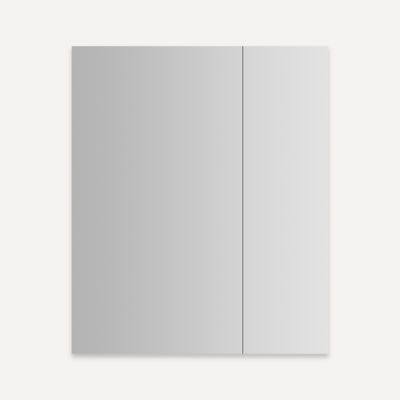 Robern - M Series Reserve Mirrored Cabinet 30X36, D6, Polished Edge