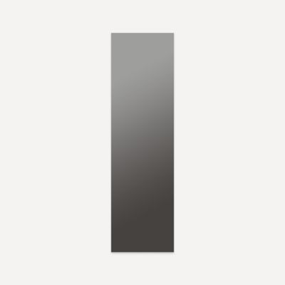 Robern - M Series Medicine Cabinet, 20X70 Full Length, D4