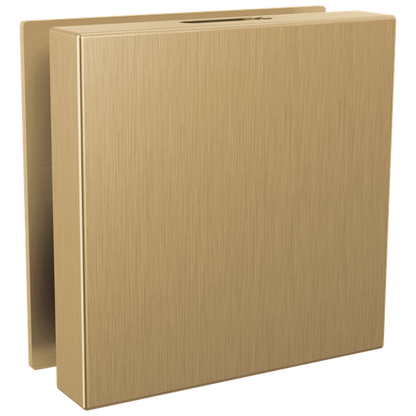 Delta - Contemporary Square Steam Head