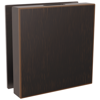 Delta - Contemporary Square Steam Head