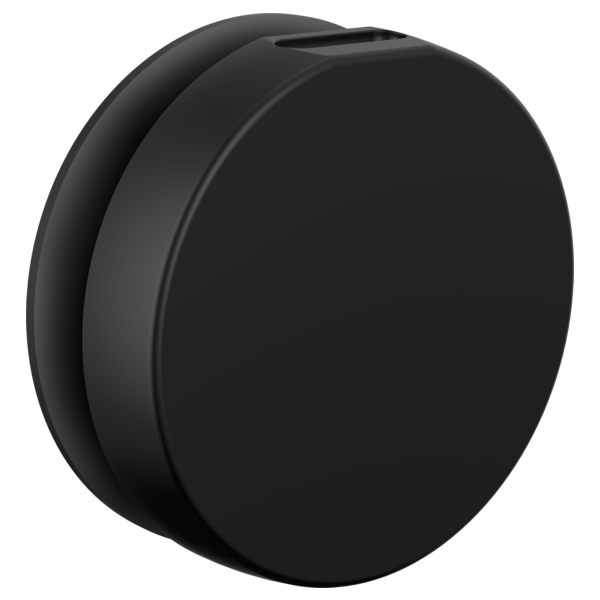Brizo - Mystix Round Steam Head