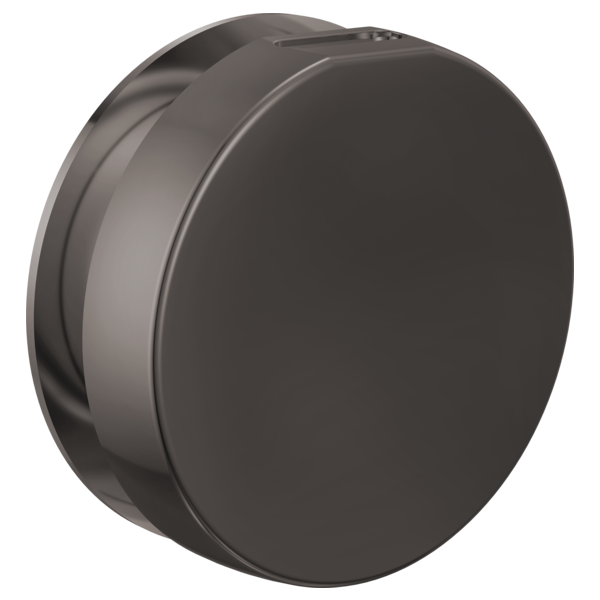Brizo - Mystix Round Steam Head