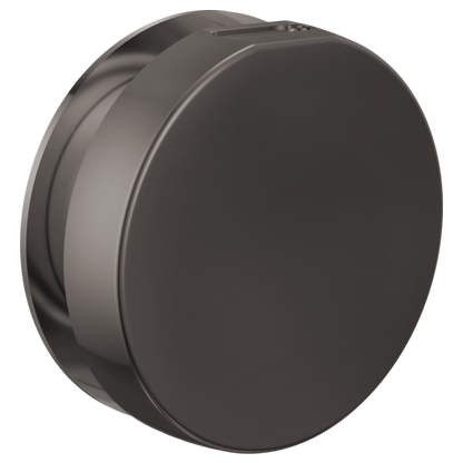 Brizo - Mystix Round Steam Head