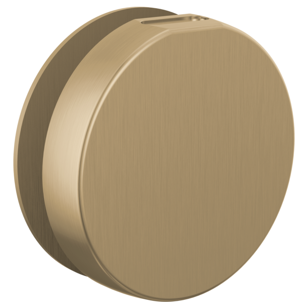Brizo - Mystix Round Steam Head