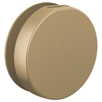 Brizo - Mystix Round Steam Head