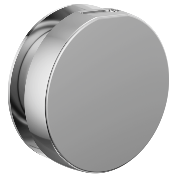 Brizo - Mystix Round Steam Head