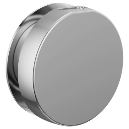 Brizo - Mystix Round Steam Head