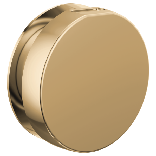 Brizo - Mystix Round Steam Head