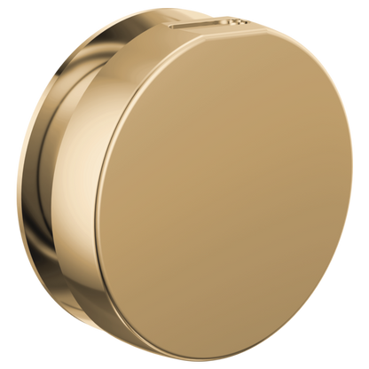 Brizo - Mystix Round Steam Head