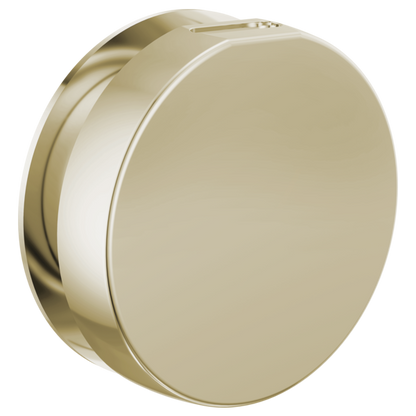 Brizo - Mystix Round Steam Head