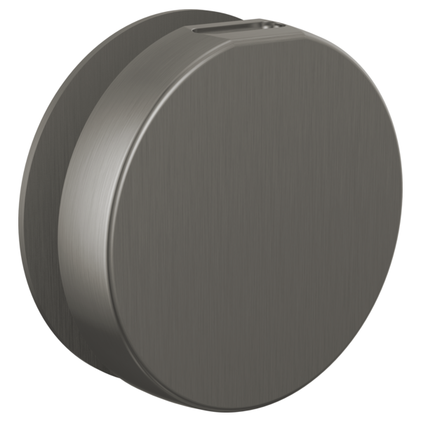 Brizo - Mystix Round Steam Head