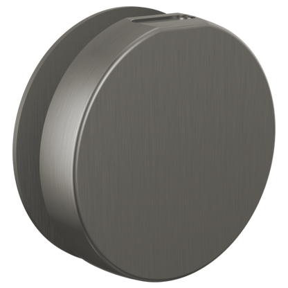 Brizo - Mystix Round Steam Head