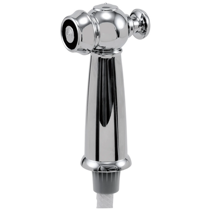 Delta - Victorian Side Spray & Hose Assembly