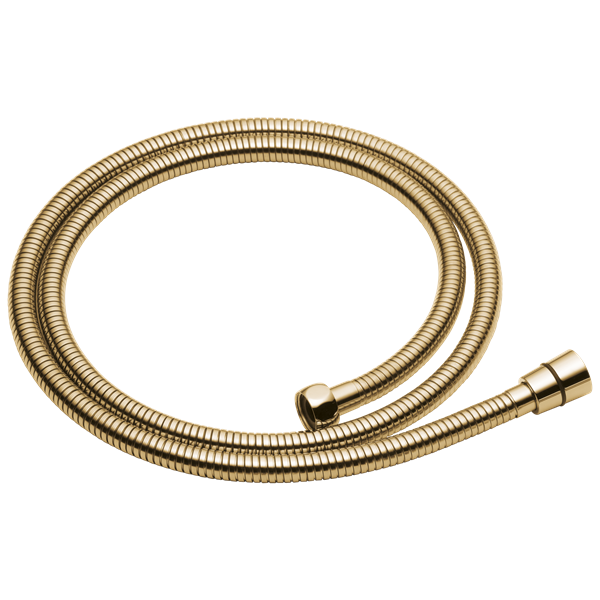 Brizo - Essential Shower Handshower Hose And Gaskets