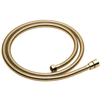 Brizo - Essential Shower Handshower Hose And Gaskets